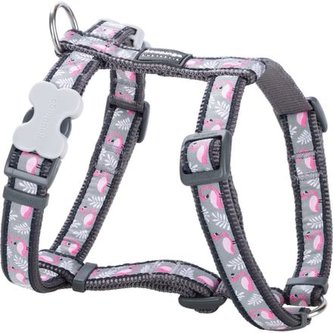 Postroj RD 15 mm x 36-54 cm - Flamingo Grey Postroj RD 15 mm x 36-54 cm - Flamingo Grey