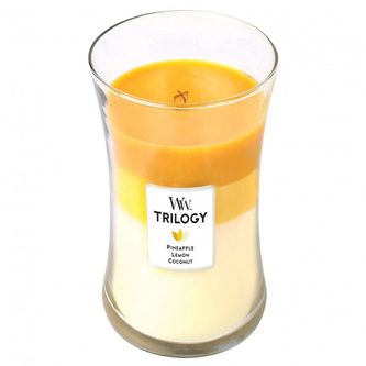 WoodWick Trilogy Plody léta 609,5g