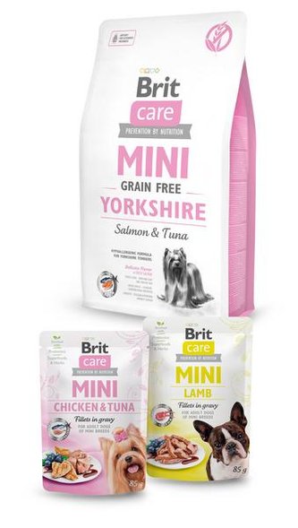 BONUS Brit Care Mini Grain Free Yorkshire 2kg+2x pouch 85g