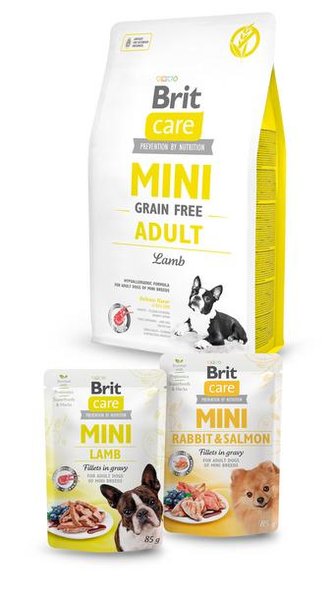 BONUS Brit Care Mini Grain Free Adult Lamb 2kg+2x pouch 85g