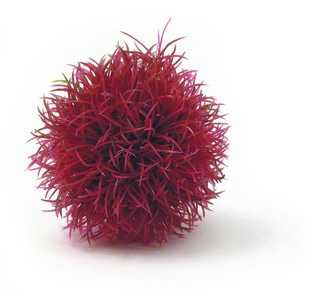 Rostl.akv.BIORB UH koule