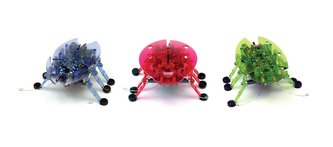 HEXBUG Beetle
