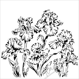 TCW šablona 15,24 x 15,24 cm - Irises
