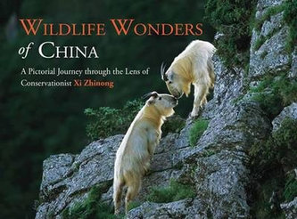 Wildlife Wonders of China : A Pictorial Journey through the Lens of Conservationist Xi Zhinong Wildlife Wonders of China : A Pictorial Journey through the Lens of Conservationist Xi Zhinong