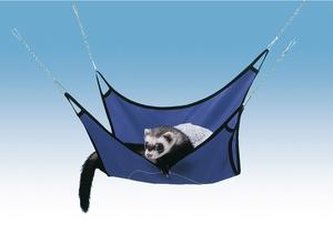 FER zavesna plachta pro fretky