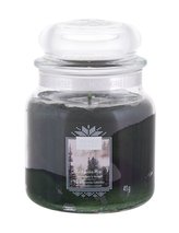 Yankee Candle Evergreen Mist Vonná svíčka 411 g unisex
