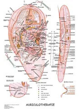 Mapa - Aurikuloterapie