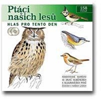 Ptáci našich lesů