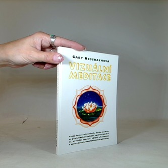 Vizuální meditace