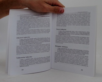 Pečeme bez zkušeností