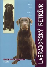 Labradorský retrívr