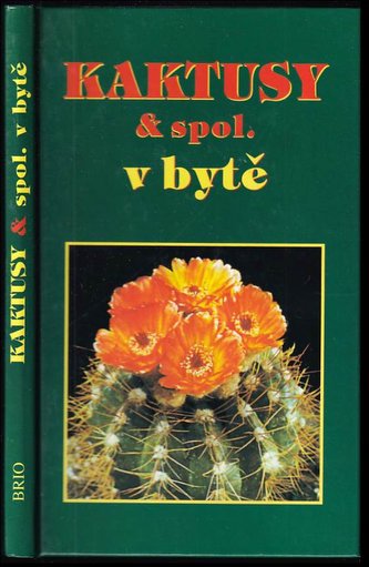 Kaktusy v bytě