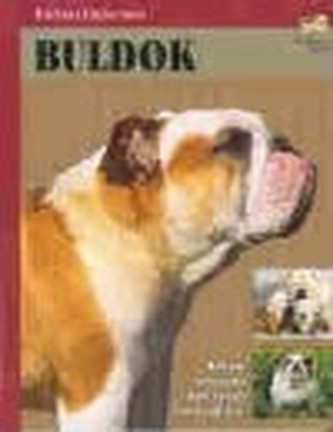Buldok
