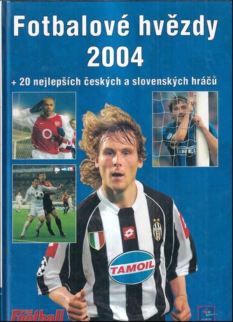 Fotbalové hvězdy 2004