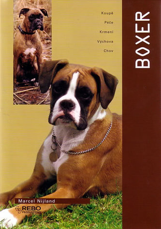 Boxer (Marcel Nijland, 2004)