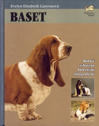 Baset (Elizabeth Lanyon, 2005)