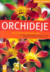 Orchideje