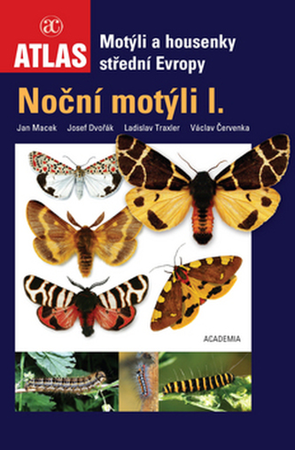 Noční motýli I.