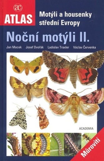 Noční motýli II.