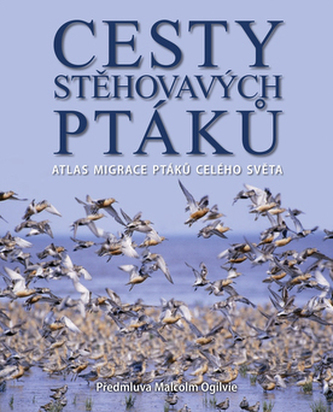 Cesty stěhovavých ptáků