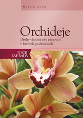 Orchideje