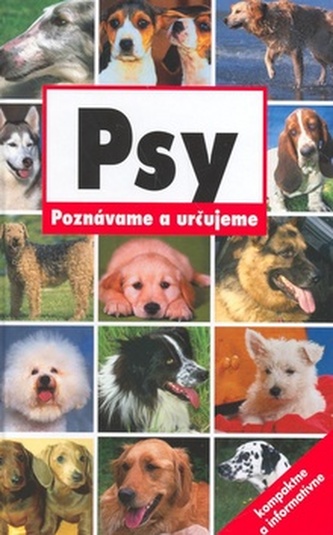 Psy Psy
