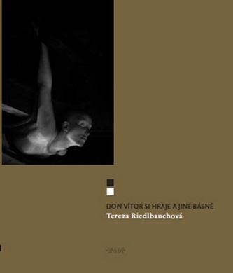 Don Vitor si hraje a jiné básně