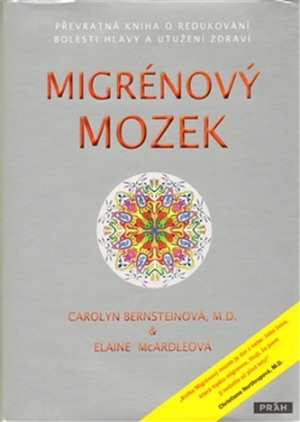 Migrénový mozek
