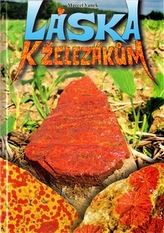 Obrázek
