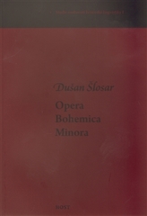 Obrázek