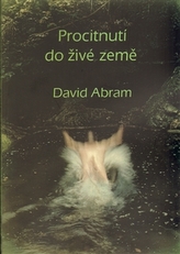 Obrázek