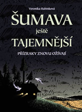 Obrázek