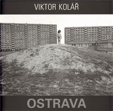 Obrázek