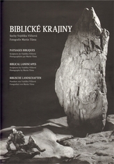Obrázek