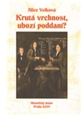 Obrázek