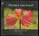 Stromy k nám hovoří (Marguerite Sweers-Meijering, 2009)