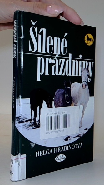 Šílené prázdniny