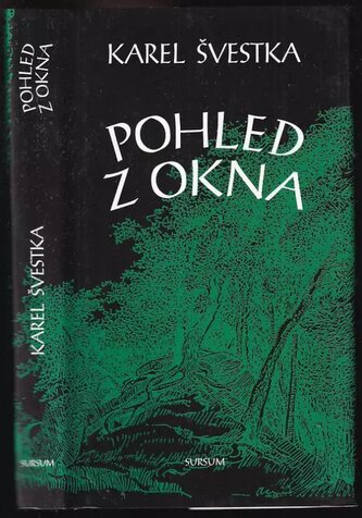 Pohled z okna (Karel Švestka, 2007)