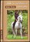 Jak si vysloužit ostruhy (Horst Stern, 2002)
