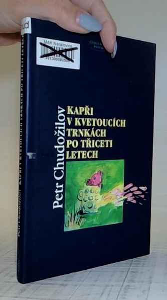 Kapři v kvetoucích trnkách po třiceti letech