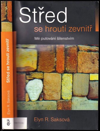 Střed se hroutí zevnitř : mé putování šílenstvím (Elyn R Saks, 2011)
