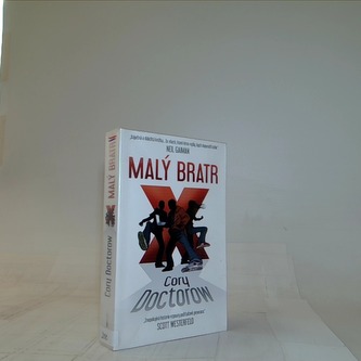 Malý bratr