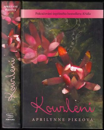 Kouzlení (Aprilynne Pike, 2012)