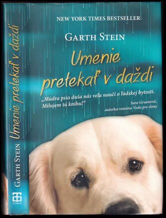 Umenie pretekať v daždi (Garth Stein, 2012)