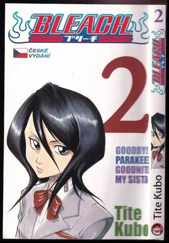 Bleach : Goodbye parakeet, goodnite my sista - 2 (Tite Kubo, 2012)