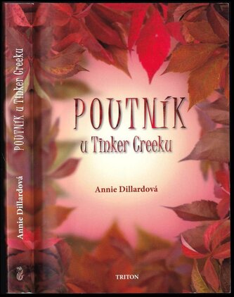 Poutník u Tinker Creeku (Annie Dillard, 2013)