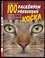 Kočka : 100 falešných předsudků (Laetitia Barlerin, 2012)