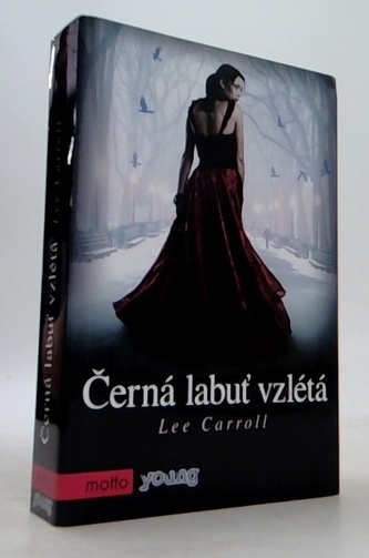 Černá labuť vzlétá
