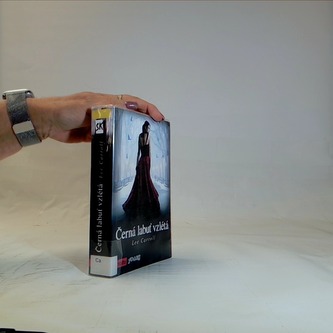 Černá labuť vzlétá