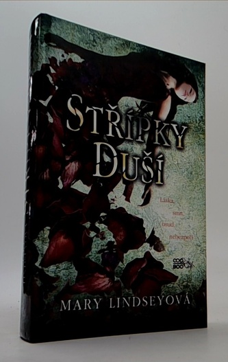 Střípky duší